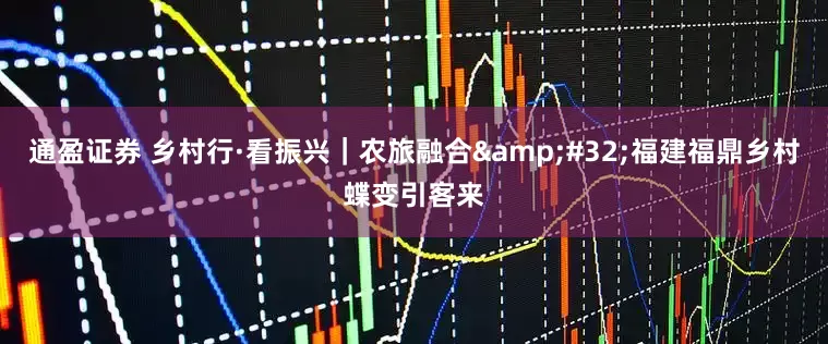 通盈证券 乡村行·看振兴｜农旅融合 福建福鼎乡村蝶变引客来