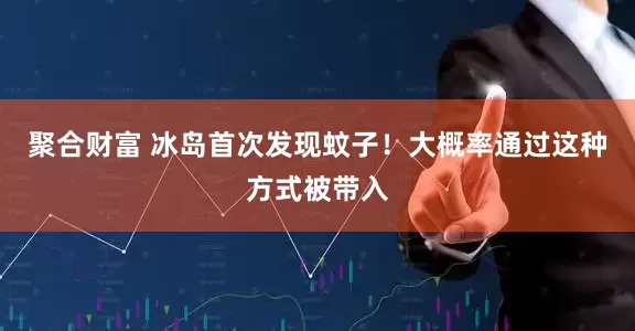 聚合财富 冰岛首次发现蚊子！大概率通过这种方式被带入