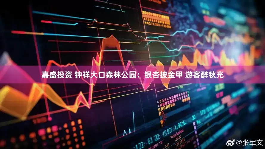 嘉盛投资 钟祥大口森林公园：银杏披金甲 游客醉秋光