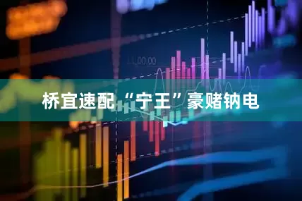 桥宜速配 “宁王”豪赌钠电