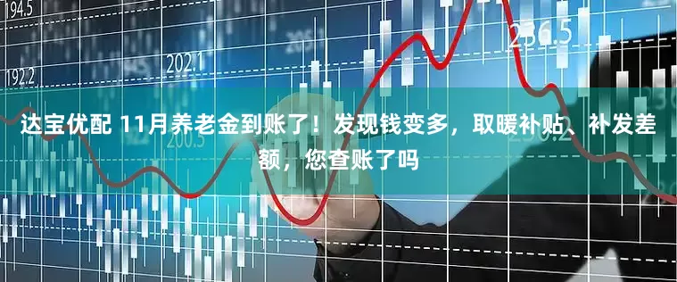 达宝优配 11月养老金到账了！发现钱变多，取暖补贴、补发差额，您查账了吗