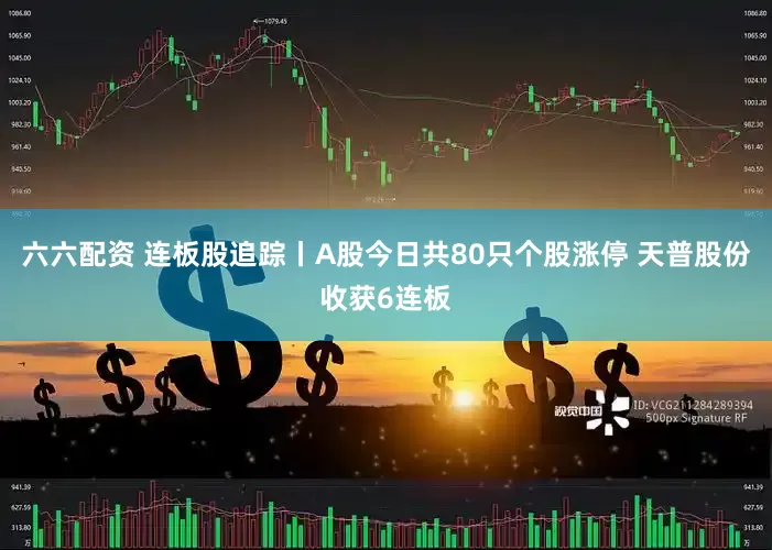 六六配资 连板股追踪丨A股今日共80只个股涨停 天普股份收获6连板