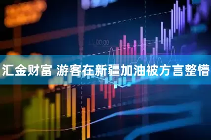 汇金财富 游客在新疆加油被方言整懵
